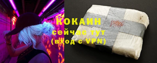 индика Богданович