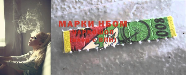 индика Богданович
