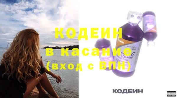 индика Богданович