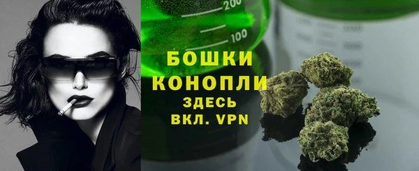 индика Богданович