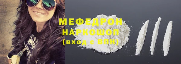 индика Богданович