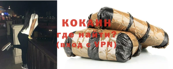 индика Богданович