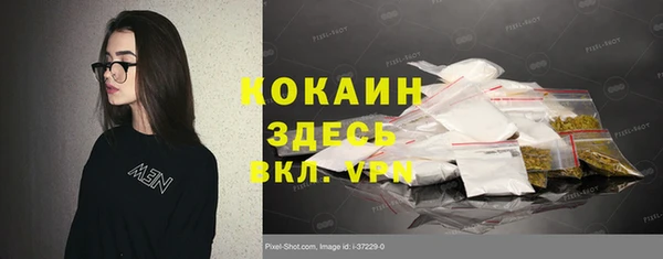 индика Богданович