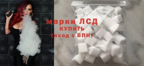 индика Богданович