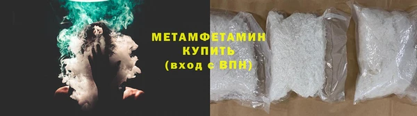 индика Богданович