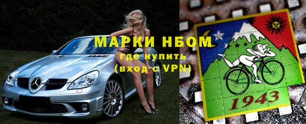 индика Богданович