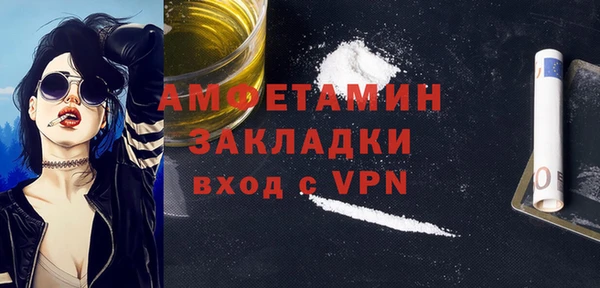 индика Богданович