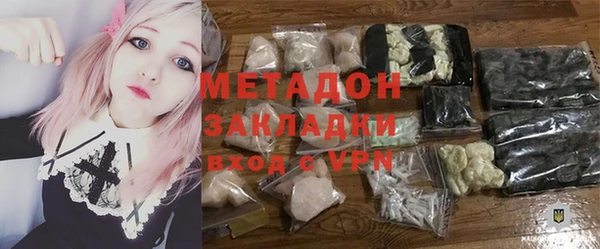 индика Богданович