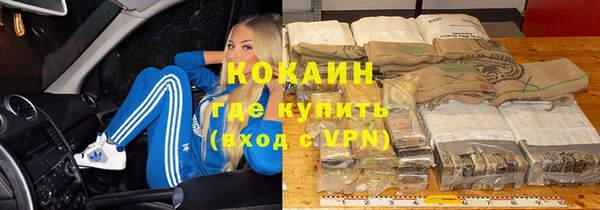 индика Богданович