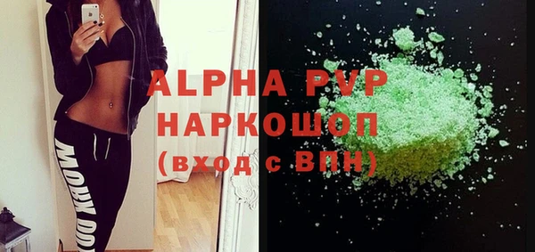 индика Богданович