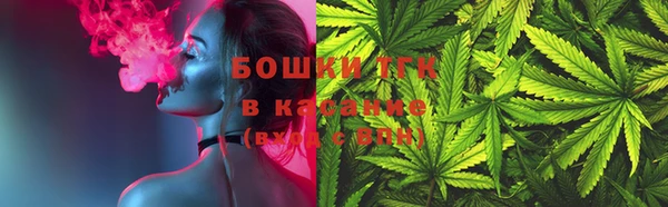 индика Богданович