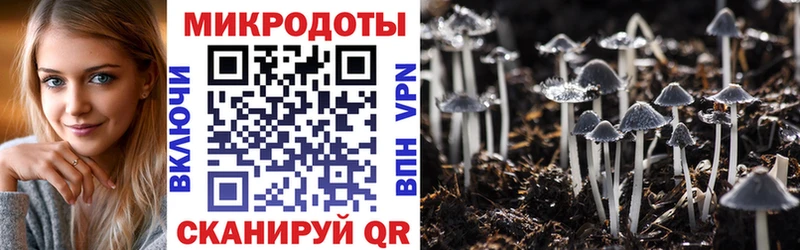 hydra вход  Кохма  Галлюциногенные грибы Psilocybine cubensis  продажа наркотиков 